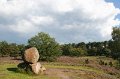 Kampina Heide